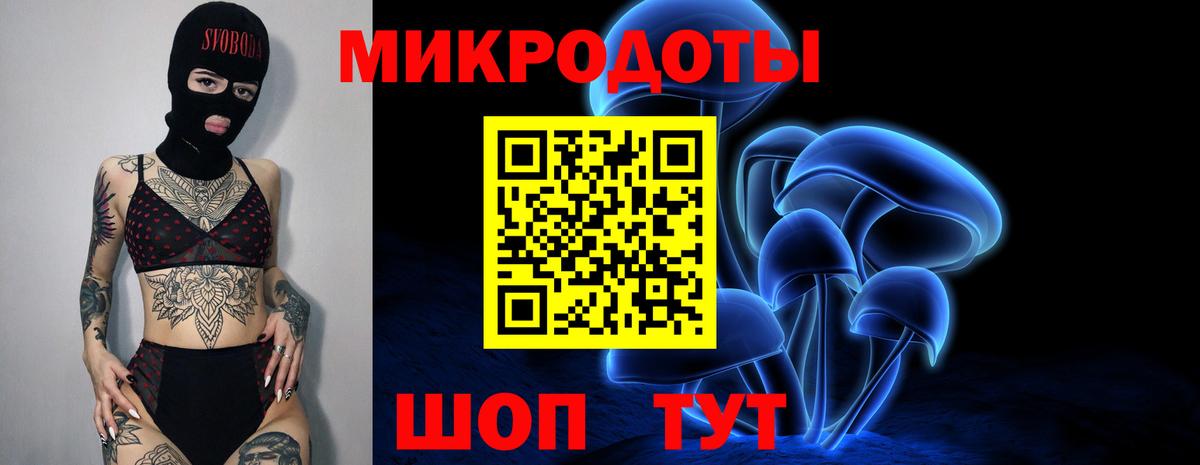 Псилоцибиновые грибы GOLDEN TEACHER  Галлюциногенные грибы Magic Shrooms  Горно-Алтайск  Вход с VPN 